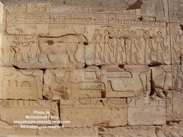 Świątynia w Ramses II - Świątynia w Ramses II 54.jpg