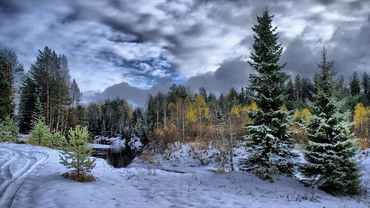 Piękno przyrody zimą - Piękno przyrody zimą 64.jpg