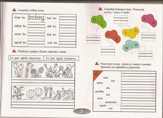 ĆWICZENIA ORTOGRAFICZNE I MATEMATYCZNE - ĆWICZENIA ORTOGRAFICZNE I MATEMATYCZNE DLA MŁODSZYCH DZIECI -05.jpg