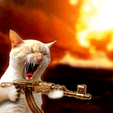 Tapety - Kalashnikov cat.gif