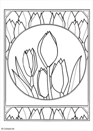 Wiosna - tulips-t9775.jpg
