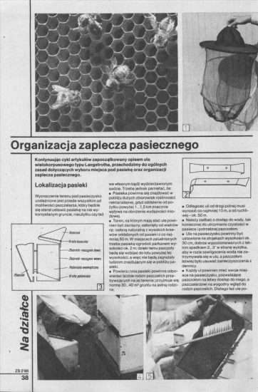 Pszczelarstwo - Organizacja zaplecza pasiecznego_01.jpg