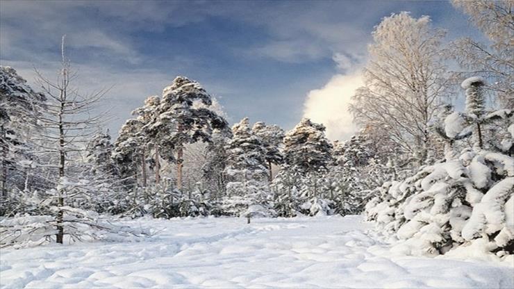 Piękno przyrody zimą - Piękno przyrody zimą 16.jpg