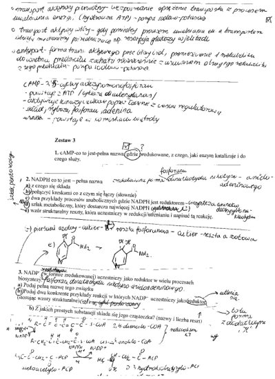 biochemia - b14.jpg