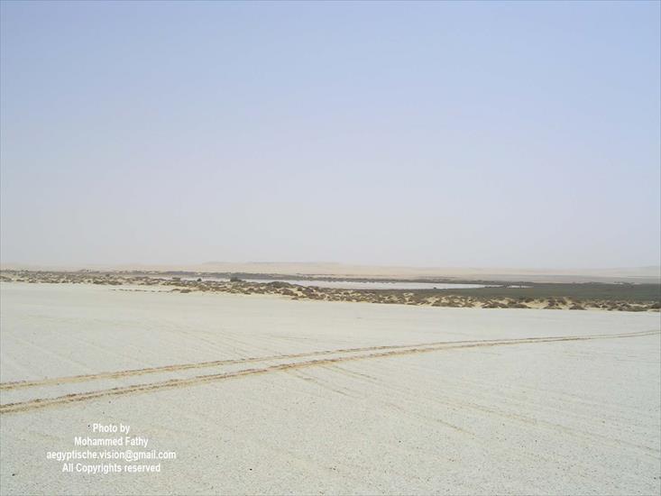 Desert - Desert 88.jpg