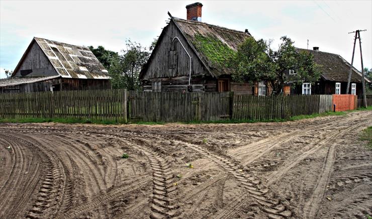 Krąg-Jedyna drewniana wioska - b146773_polska_bory_tucholskie_krag_sliwic.jpg