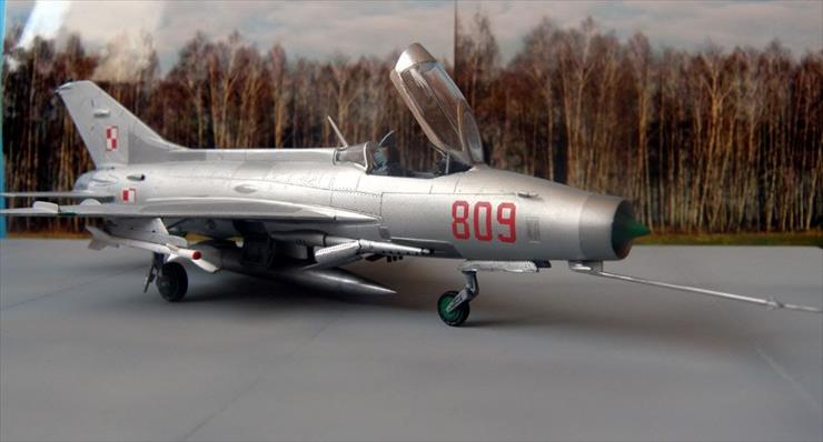 MiG-21 F13 - 1-2.jpg