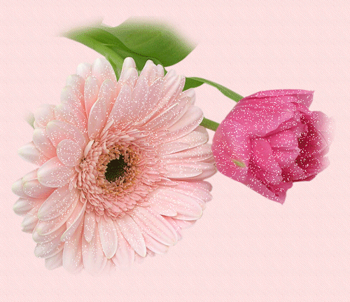kwiaty - bestgif.narod.ru_21242.gif