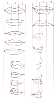 Nauka rysowania b.prostych postaci - lips1tn.gif