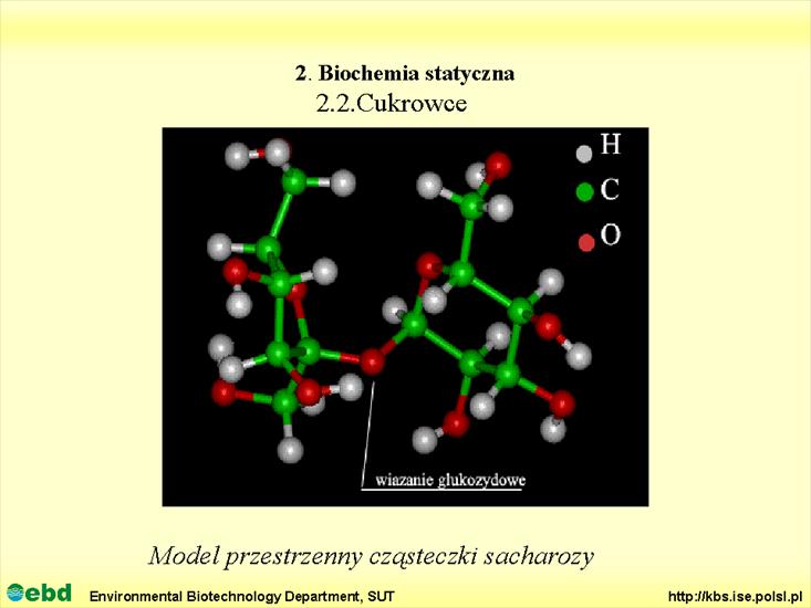 BIOCHEMIA 2 - biochemia statyczna - Slajd29.TIF