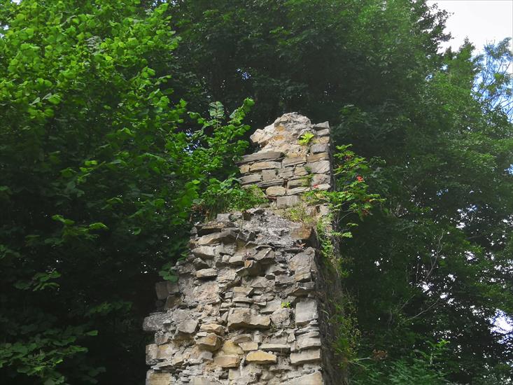  ruiny zamku Sobień - o.jpg