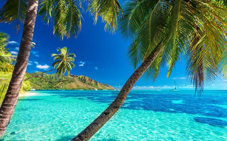 lato - tapeta-jachty-na-oceanie-u-wybrzezy-wyspy-moorea-w-polinezji-francuskiej.jpg