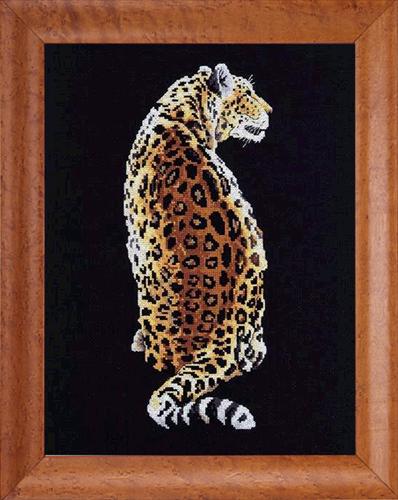 Kanwa czarna - leopard.JPG